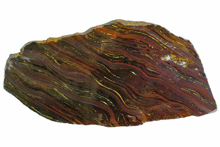 Polished Tiger Iron Stromatolite - Billion Years #158139